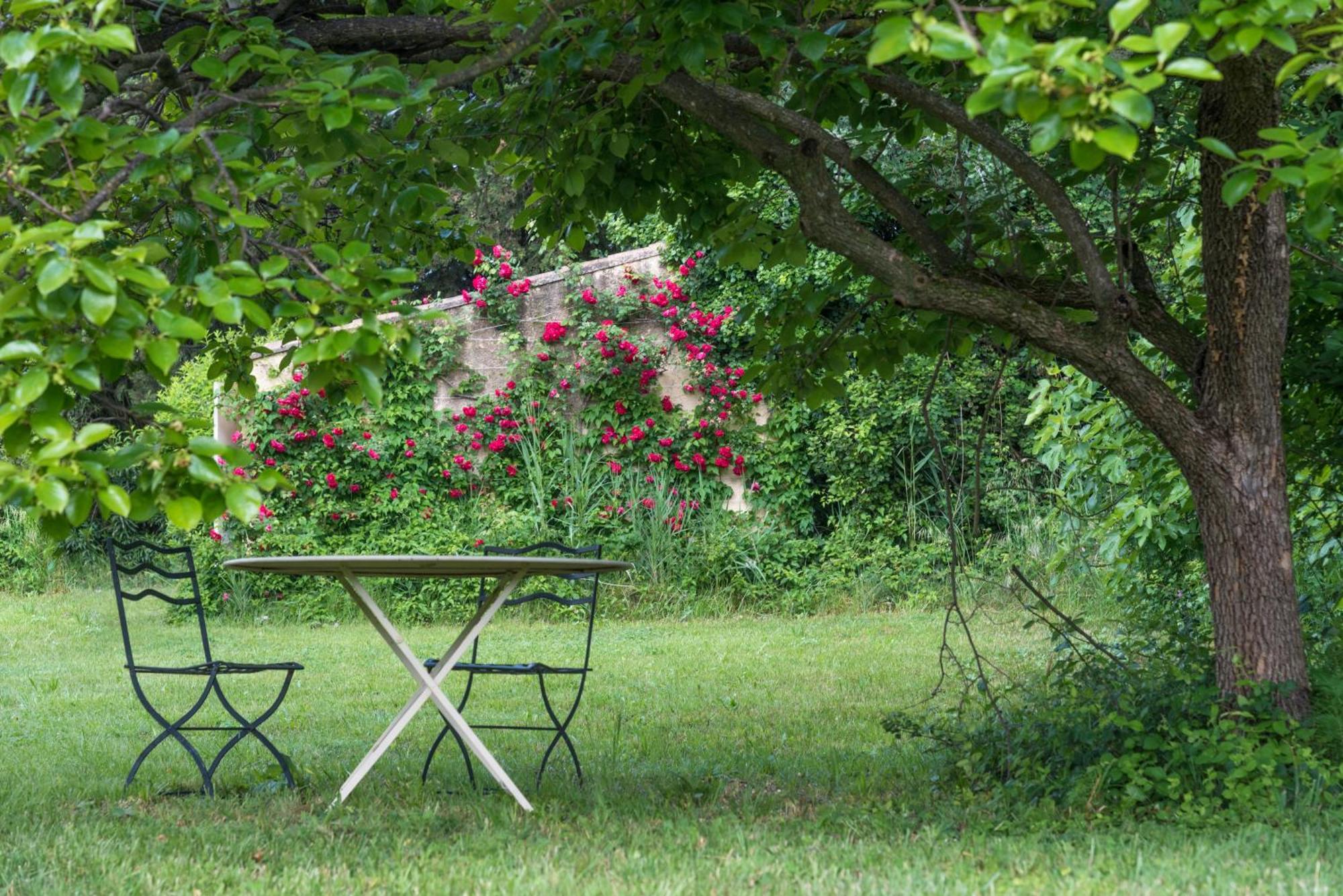 Villa Mas dans la campagne pour loisirs et télétravail à Sarrians Extérieur photo