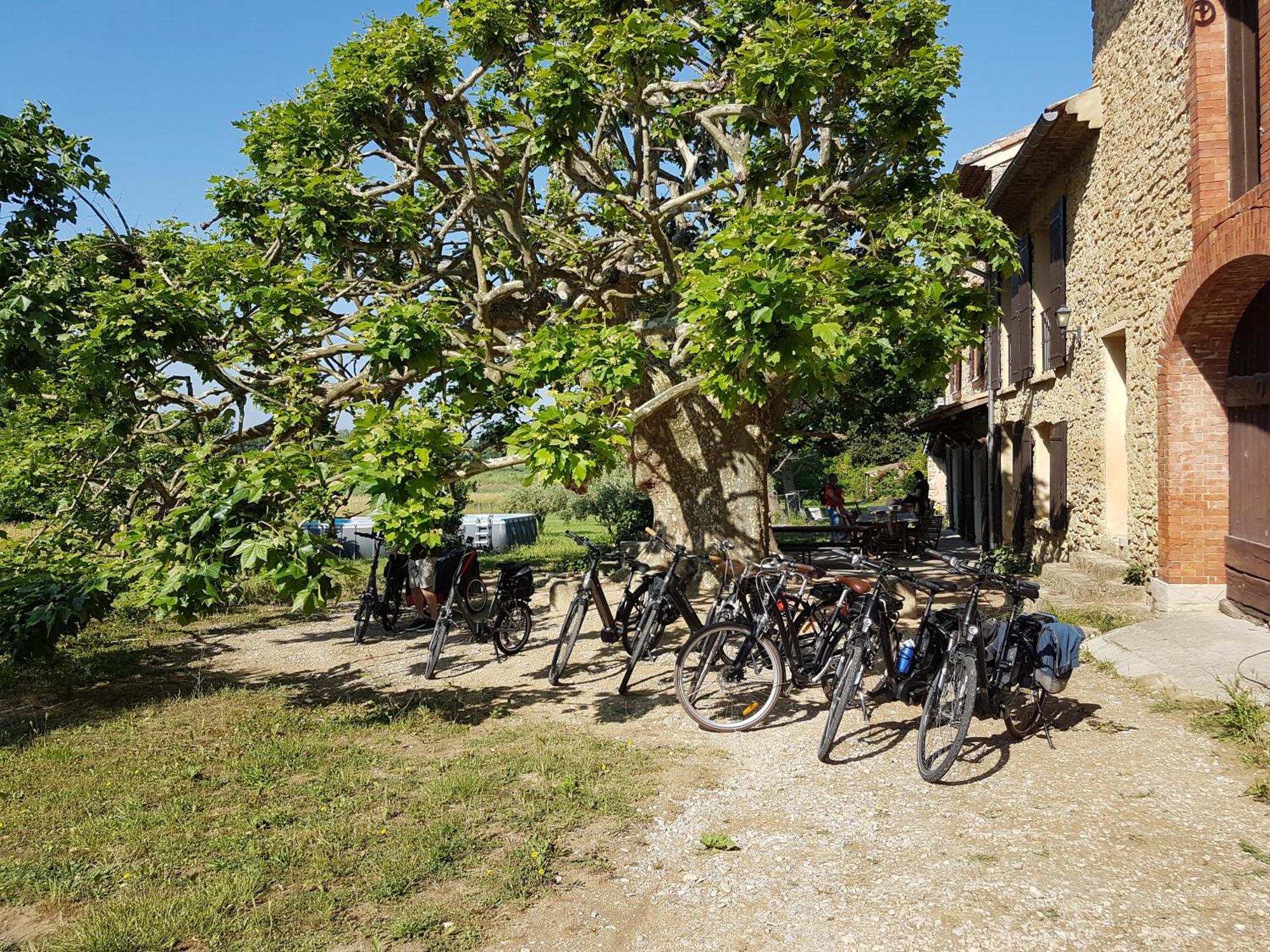 Villa Mas dans la campagne pour loisirs et télétravail à Sarrians Extérieur photo
